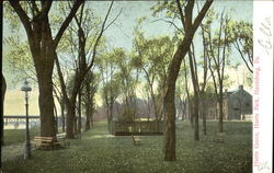 Harris Grave, Harris Park Postcard