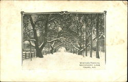 Winters Morning, Governor's Lane Postcard