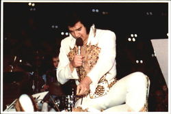 Elvis Postcard