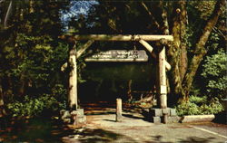 Gateway To Muir Woods National Monument Postcard