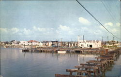 The Marine Corrosion Testing Station Postcard