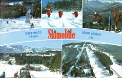 Greetings From Skimobile Postcard