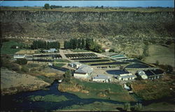 Snake River Trout Farm Buhl, ID Postcard Postcard