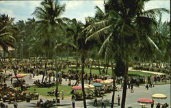 The Paddock, Hialeah Park Miami, FL Postcard Postcard