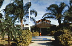 Warm Mineral Springs, U. S. 41 Postcard