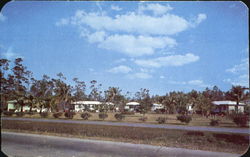 Homestead Cottage Court, U. S. No. 1 Postcard