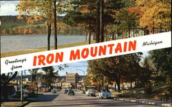 Lake Antoine Park, Stevenson Ave Iron Mountain, MI Postcard Postcard