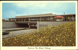 Oasis On The Illinois Tollway Postcard