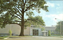 Auditorium Entrance City Art Museum In Forest Park Postcard