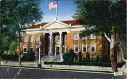 The Beautiful Carnegie Library Postcard