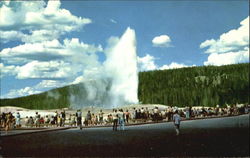 Old Faithful Geyser Upper Geyser Basin, Yellowstone National Park Postcard