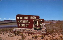 Medicine Bow National Forest, Highway 80 Postcard