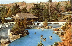 Snowlake Lodge Postcard