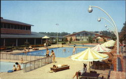 The Motor House Pool Postcard