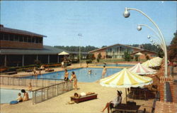 The Motor House Pool Williamsburg, VA Postcard Postcard