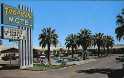 Tropicana Motel, 2115 Fourth Ave. - U.S. Highway 80 Yuma, AZ Postcard Postcard