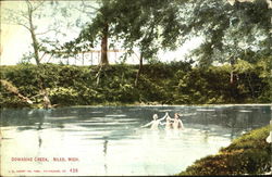 Dowagiac Creek Niles, MI Postcard Postcard