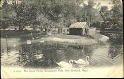 The Duck Pond, Brooklawn Park New Bedford, MA Postcard Postcard