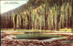 Emerald Pool, Yellowstone National Park Postcard