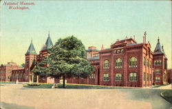 The National Museum Postcard