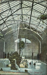 Inside Of Bird Cage, Lincoln Park Zoo Chicago, IL Postcard Postcard