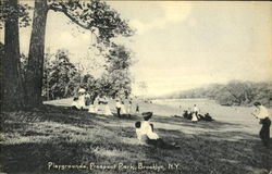 Playgrounds Prospect Park Postcard