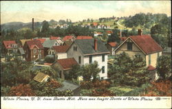 White Plains Postcard