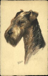 Airedale Terrier Dogs Postcard Postcard