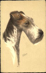 Wire-Haired Fox Terrier Drahthaar - Terrier Dogs Postcard Postcard