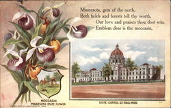 Moccasin Minnesota State Flower Postcard