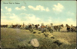 Harvest Days In Dakota Postcard