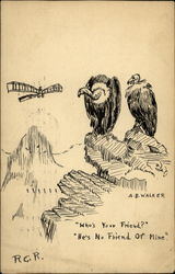 Two Vultures Looking at an Airplane Birds Postcard Postcard