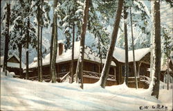 A Forest Home in Winter - Coded Message Puzzles Postcard Postcard