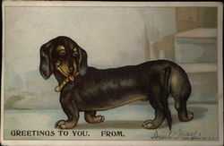 Dachshund Wire Tail Postcard