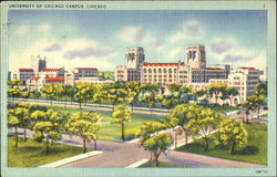 University Of Chicago Campus Postcard