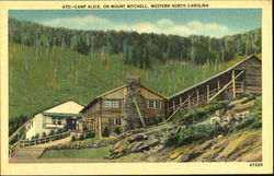 Camp Alice, Mount Mitchell Postcard