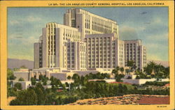 The Los Angeles County General Hospital Postcard