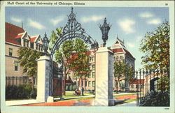 Hull Court Of The University Of Chicago Postcard