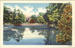 Reflections of Trees in Lake Postcard Postcard