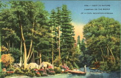 956: - "Next To Nature" Asheville, NC Postcard Postcard