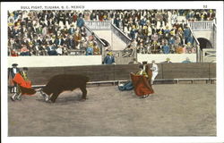 Bull Fight Tijuana, BC Mexico Postcard Postcard