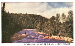 Pulpwood On The Way To The Mill Postcard