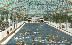 The Swimming Pool, Crystal Gardens Postcard