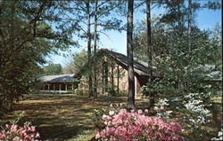 First Presbyterian Church Postcard