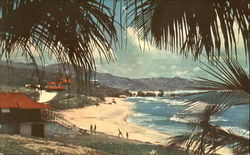 Sandy Beach On Bathsheba Coast Postcard