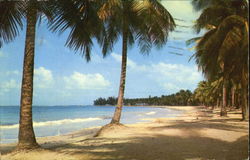 Luquillo Beach Puerto Rico Postcard Postcard