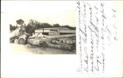 Children on Logs Postcard