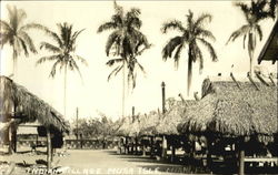 Indian Village Musa Isle Postcard