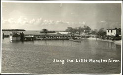 Along The Little Manatee River Ruskin, FL Postcard Postcard