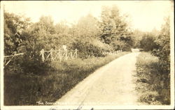 The South Road, Lake Champlain Postcard